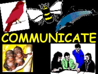 COMMUNICATE 