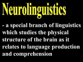 Neurolinguistics - a special branch of linguistics which studies the physical structure of the brain as it relates to language production and comprehension 