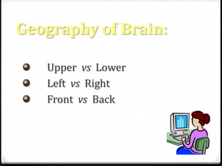 Geography of Brain: 
Upper vs Lower 
Left vs Right 
Front vs Back 
 