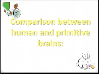 Comparison between 
human and primitive 
brains: 
 