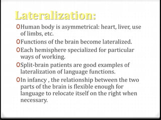 Lateralization: 
0Human body is asymmetrical: heart, liver, use 
of limbs, etc. 
0Functions of the brain become lateralized. 
0Each hemisphere specialized for particular 
ways of working. 
0Split-brain patients are good examples of 
lateralization of language functions. 
0In infancy , the relationship between the two 
parts of the brain is flexible enough for 
language to relocate itself on the right when 
necessary. 
 