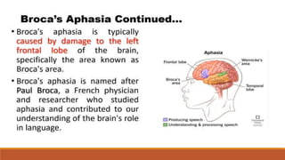 LANGUAGE AND BRAIN :Relationship Between Language and the Brain