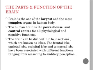 THE PARTS & FUNCTION OF THE
BRAIN
 Brain is the one of the largest and the most
complex organs in human body.
 The human brain is the powerhouse and
control center for all physiological and
cognitive functions.
 The brain can be divided into four sections ,
which are known as lobes. The frontal lobe,
parietal lobe, occipital lobe and temporal lobe
have been associated with different functions
ranging from reasoning to auditory perception.
 