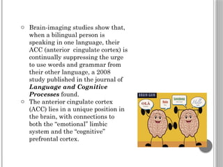 o Brain-imaging studies show that,
when a bilingual person is
speaking in one language, their
ACC (anterior cingulate cortex) is
continually suppressing the urge
to use words and grammar from
their other language, a 2008
study published in the journal of
Language and Cognitive
Processes found.
o The anterior cingulate cortex
(ACC) lies in a unique position in
the brain, with connections to
both the “emotional” limbic
system and the “cognitive”
prefrontal cortex.
 
