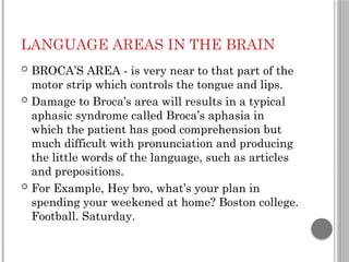 LANGUAGE AREAS IN THE BRAIN
 BROCA’S AREA - is very near to that part of the
motor strip which controls the tongue and lips.
 Damage to Broca’s area will results in a typical
aphasic syndrome called Broca’s aphasia in
which the patient has good comprehension but
much difficult with pronunciation and producing
the little words of the language, such as articles
and prepositions.
 For Example, Hey bro, what’s your plan in
spending your weekened at home? Boston college.
Football. Saturday.
 