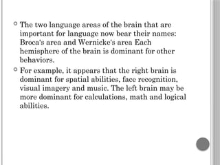  The two language areas of the brain that are
important for language now bear their names:
Broca's area and Wernicke's area Each
hemisphere of the brain is dominant for other
behaviors.
 For example, it appears that the right brain is
dominant for spatial abilities, face recognition,
visual imagery and music. The left brain may be
more dominant for calculations, math and logical
abilities.
 