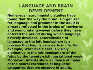 LANGUAGE AND BRAIN
DEVELOPMENT
Numerous neurolinguistic studies have
found that the way the brain is organized
for language and grammar in the adult is
already reflected in the brains of newborns
and young infants—even before they have
entered the period during which language
actively develops. Lateralization of
language to the left hemisphere is a
process that begins very early in life. For
example, Wernicke’s area is visibly
distinctive in the left hemisphere of the
fetus by the twenty-sixth gestational week.
Moreover, infants show evidence of many
of the neural correlates of linguistic
categories that we observe in adults.
 