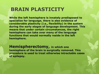 BRAIN PLASTICITY
While the left hemisphere is innately predisposed to
specialize for language, there is also evidence of
considerable plasticity (i.e., flexibility) in the system
during the early stages of language development. This
means that under certain circumstances, the right
hemisphere can take over many of the language
functions that would normally reside in the left
hemisphere.
Hemispherectomy, in which one
hemisphere of the brain is surgically removed. This
procedure is used to treat otherwise intractable cases
of epilepsy.
 