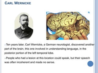 After autopsying eight similar patient with lesion in the left frontal lobe