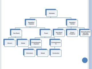 Split Brain Experiment