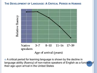 The Development of Language: A Critical Period in Humans A critical period for learning language is shown by the decline in language ability (fluency) of non-native speakers of English as a function of their age upon arrival in the United States