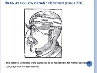 Brain as hollow organ : Nemesius (circa 320), The cerebral ventricles were supposed to be responsible for mental operations