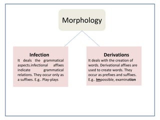 Morphology
Infection
It deals the grammatical
aspects.infectional affixes
indicate grammatical
relations. They occur only as
a suffixes. E.g.. Play-plays
Derivations
It deals with the creation of
words. Derivational affixes are
used to create words. They
occur as prefixes and suffixes.
E.g.. Impossible, examination
 