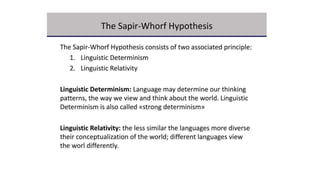 Language and culture 7 | PPT