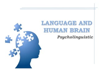 LANGUAGE AND 
HUMAN BRAIN 
Psycholinguistic 
 