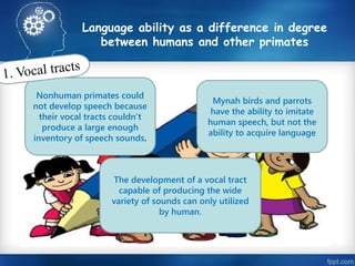Language ability as a difference in degree 
between humans and other primates 
Nonhuman primates could 
not develop speech because 
their vocal tracts couldn’t 
produce a large enough 
inventory of speech sounds. 
Mynah birds and parrots 
have the ability to imitate 
human speech, but not the 
ability to acquire language 
The development of a vocal tract 
capable of producing the wide 
variety of sounds can only utilized 
by human. 
 