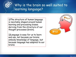 Why is the brain so well suited to 
learning language? 
The structure of human language 
is inevitably shaped around human 
learning and processing biases 
deriving from the structure of our 
thought processes (brain). 
Language is easy for us to learn 
and use, not because our brains 
embody knowledge of language, but 
because language has adapted to our 
brains. 
 