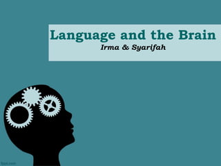 Language and the Brain 
Irma & Syarifah 
 