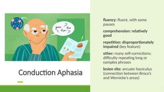 Language and Lateralization : Broca's and Wernicke's Aphasia | PPTX
