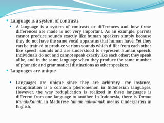 Counterpart Language ENGLISH COLLEGE - Language_and_Linguistics.pptx