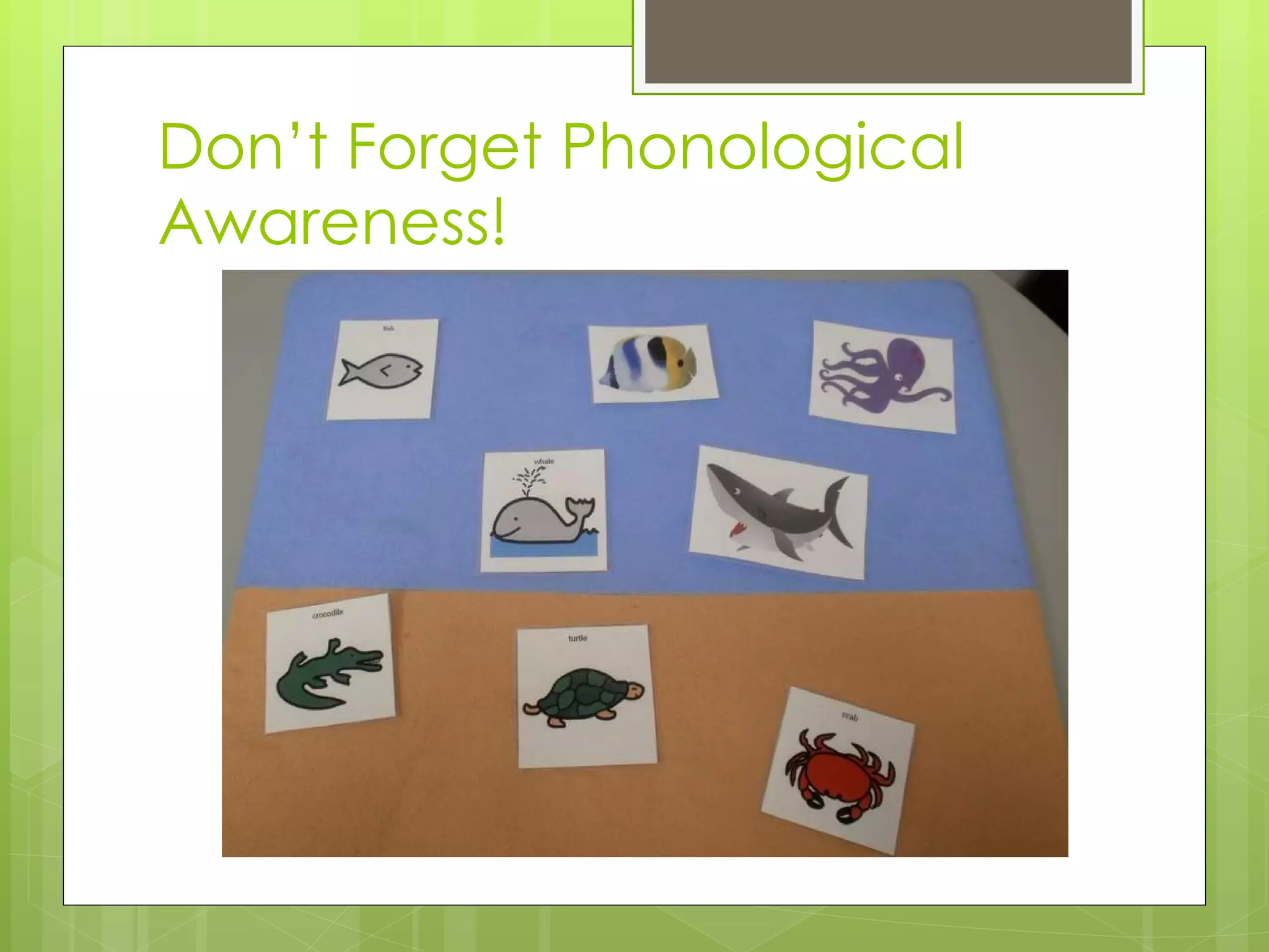 Don’t Forget Phonological Awareness! 