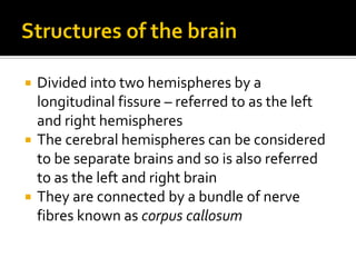 Divided into two hemispheres by a
longitudinal fissure – referred to as the left
and right hemispheres
 The cerebral hemispheres can be considered
to be separate brains and so is also referred
to as the left and right brain
 They are connected by a bundle of nerve
fibres known as corpus callosum


 
