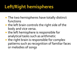 The two hemispheres have totally distinct
functions
 the left brain controls the right side of the
body and vice versa.
 the left hemisphere is responsible for
analytical tasks such as arithmetic
 the right brain is responsible for complex
patterns such as recognition of familiar faces
or melodies of songs


 