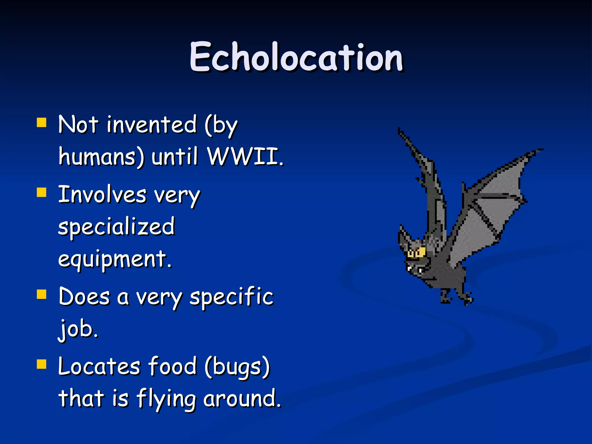Echolocation Not invented (by humans) until WWII. Involves very specialized equipment. Does a very specific job. Locates food (bugs) that is flying around. 