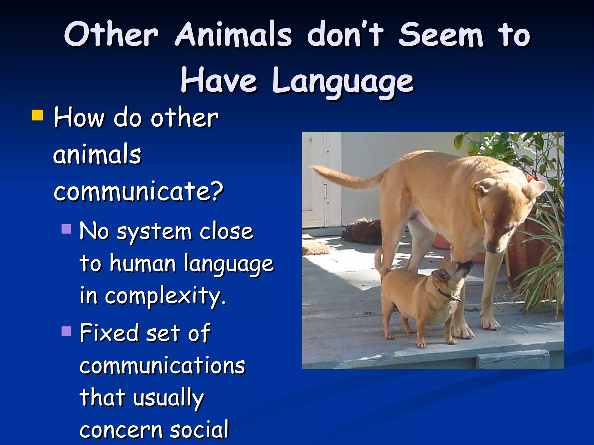 Other Animals don’t Seem to Have Language How do other animals communicate? No system close to human language in complexity. Fixed set of communications that usually concern social hierarchy.  