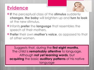 Evidence
 Ifthe perceptual class of the stimulus suddenly
  changes, the baby will brighten up and turn to look
  at the new stimulus.
 Infants prefer the language that resembles the
  speech of their mothers.
 Prefer their own mother’s voice, as opposed to that
  of other women.


    Suggests that, during the first eight months,
   The child is remarkably attentive to language.
        Although not yet learning words, but
  acquiring the basic auditory patterns of his native
                      language
 
