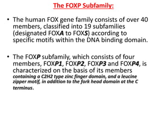 Fox Genes Language and speech disorders genetics.pptx