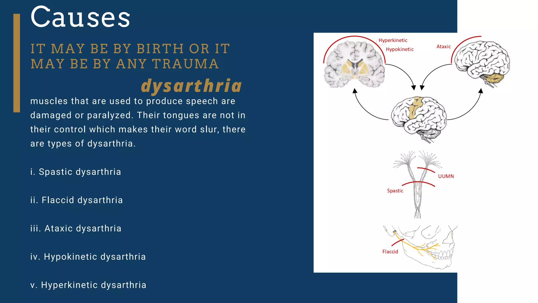 Causes
IT MAY BE BY BIRTH OR IT
MAY BE BY ANY TRAUMA
muscles that are used to produce speech are
damaged or paralyzed. Their tongues are not in
their control which makes their word slur, there
are types of dysarthria.
i. Spastic dysarthria
ii. Flaccid dysarthria
iii. Ataxic dysarthria
iv. Hypokinetic dysarthria
v. Hyperkinetic dysarthria
dysarthria
 