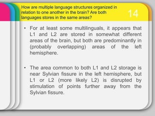  Questions remain unanswered or answers remain controversialHow independent are the language of multilingual speakers?13Ervin and Osgood suggested a three ways possibly for how languages relate in  an individual’s mind which are call: CoordinateCompoundSubordinate bilingualism