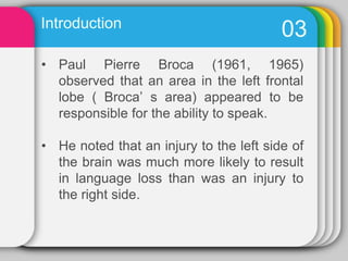 Introduction03Paul Pierre Broca (1961, 1965) observed that an area in the left frontal lobe ( Broca’ s area) appeared to be responsible for the ability to speak.