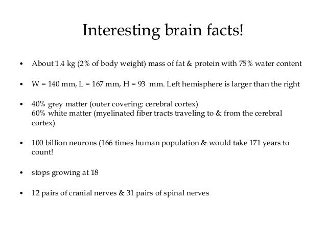 Neurolinguistics Brain and Language