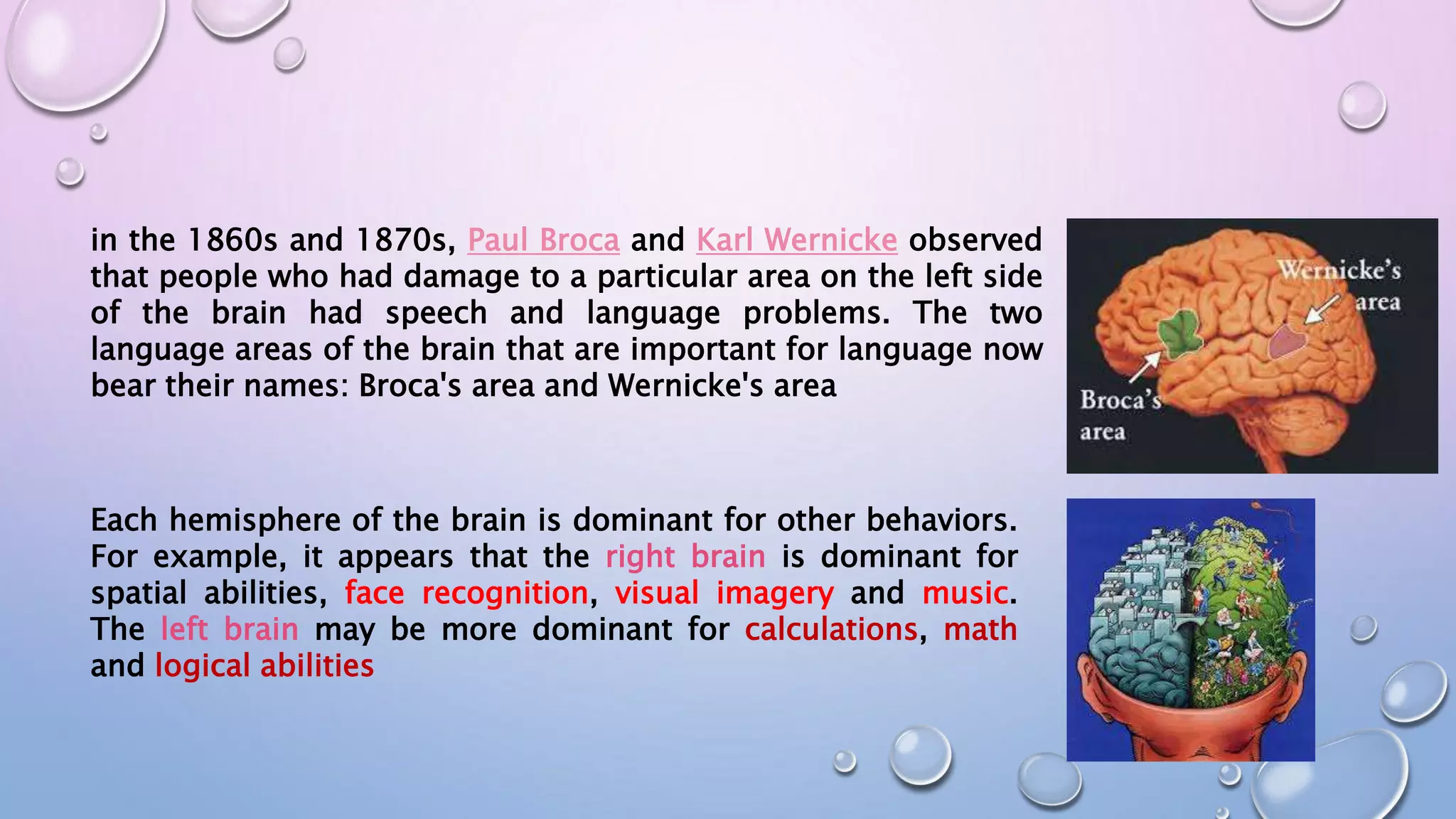 Language and the brain | PPTX