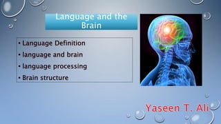 Language and the
Brain
 