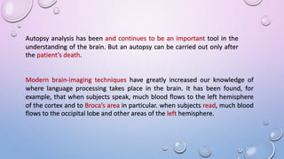 Autopsy analysis has been and continues to be an important tool in the
understanding of the brain. But an autopsy can be carried out only after
the patient’s death.
Modern brain-imaging techniques have greatly increased our knowledge of
where language processing takes place in the brain. It has been found, for
example, that when subjects speak, much blood flows to the left hemisphere
of the cortex and to Broca’s area in particular. when subjects read, much blood
flows to the occipital lobe and other areas of the left hemisphere.
 