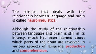 The science that deals with the
relationship between language and brain
is called neurolinguistics.
Although the study of the relationship
between language and brain is still in its
infancy, much has been learned about
which parts of the brain are involved in
various aspects of language production
and comprehension.
 