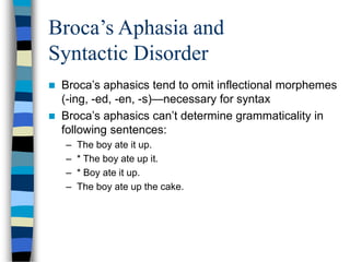 language and brain.ppt