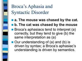 language and brain.ppt