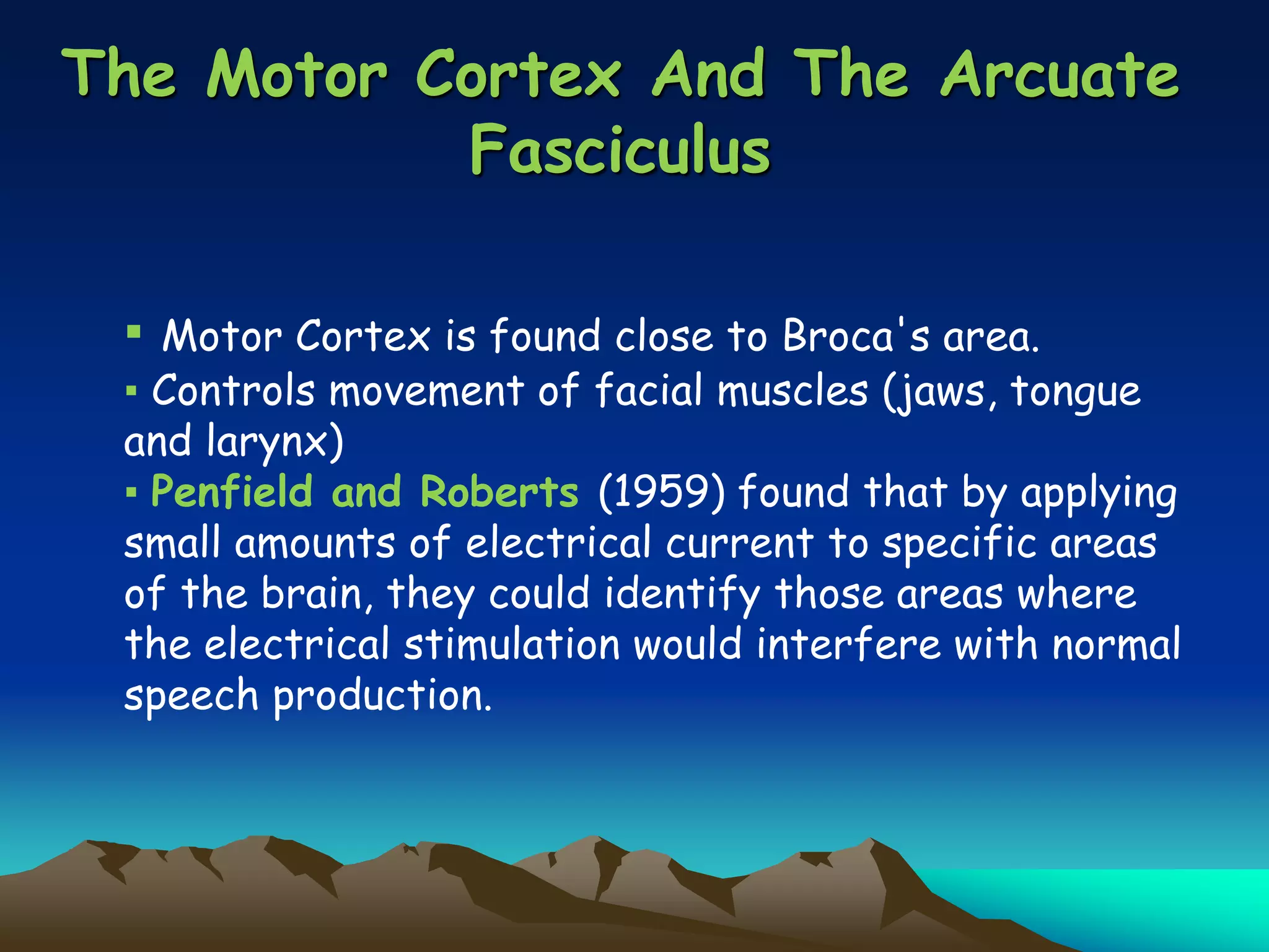 The Motor Cortex And The Arcuate
Fasciculus
▪ Motor Cortex is found close to Broca's area.
▪ Controls movement of facial muscles (jaws, tongue
and larynx)
▪ Penfield and Roberts (1959) found that by applying
small amounts of electrical current to specific areas
of the brain, they could identify those areas where
the electrical stimulation would interfere with normal
speech production.
 