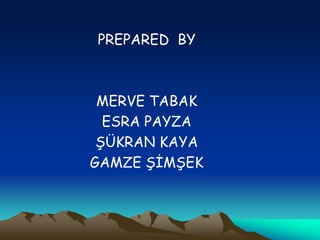 PREPARED BY
MERVE TABAK
ESRA PAYZA
ŞÜKRAN KAYA
GAMZE ŞİMŞEK
 