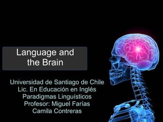 Language and the Brain Universidad de Santiago de Chile Lic. En Educación en Inglés Paradigmas Linguísticos Profesor: Miguel Farías Camila Contreras 