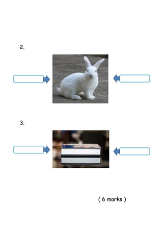 2.
3.
( 6 marks )
 