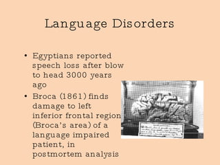 Language Disorders Egyptians reported speech loss after blow to head 3000 years ago Broca (1861) finds damage to left inferior frontal region (Broca’s area) of a language impaired patient, in postmortem analysis 