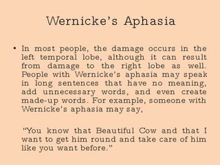 Wernicke’s Aphasia In most people, the damage occurs in the left temporal lobe, although it can result from damage to the right lobe as well. People with Wernicke’s aphasia may speak in long sentences that have no meaning, add unnecessary words, and even create made-up words. For example, someone with Wernicke’s aphasia may say,  “ You know that Beautiful Cow and that I want to get him round and take care of him like you want before.” 
