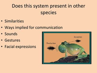 Does this system present in other species Similarities Ways implied for communication Sounds  Gestures Facial expressions 