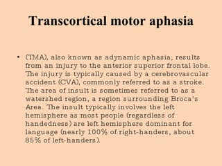 Transcortical motor aphasia (TMA), also known as adynamic aphasia, results from an injury to the anterior superior frontal lobe. The injury is typically caused by a cerebrovascular accident (CVA), commonly referred to as a stroke. The area of insult is sometimes referred to as a watershed region, a region surrounding Broca’s Area. The insult typically involves the left hemisphere as most people (regardless of handedness) are left hemisphere dominant for language (nearly 100% of right-handers, about 85% of left-handers). 
