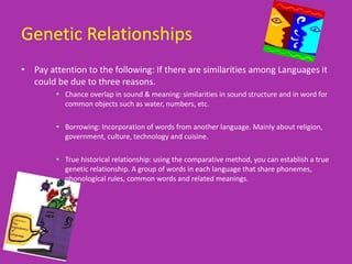 Genetic Relationships   Pay attention to the following: If there are similarities among Languages it could be due to three reasons. Chance overlap in sound & meaning: similarities in sound structure and in word for common objects such as water, numbers, etc. Borrowing: Incorporation of words from another language. Mainly about religion, government, culture, technology and cuisine.  True historical relationship: using the comparative method, you can establish a true genetic relationship. A group of words in each language that share phonemes, phonological rules, common words and related meanings.  